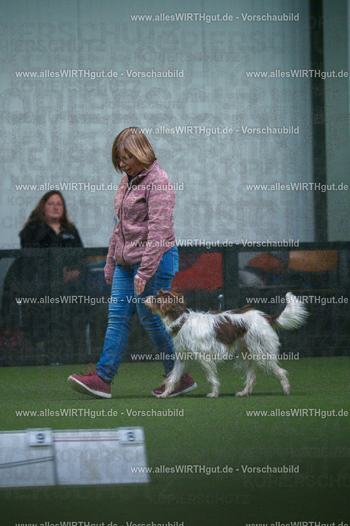 7R502222 | Professionelle Tierfotografie in Mönchengladbach von Daniel Wirth (allesWIRTHgut). Liebevolle & natürliche Bilder von Hunden & Katzen für unvergessliche Erinnerungen.