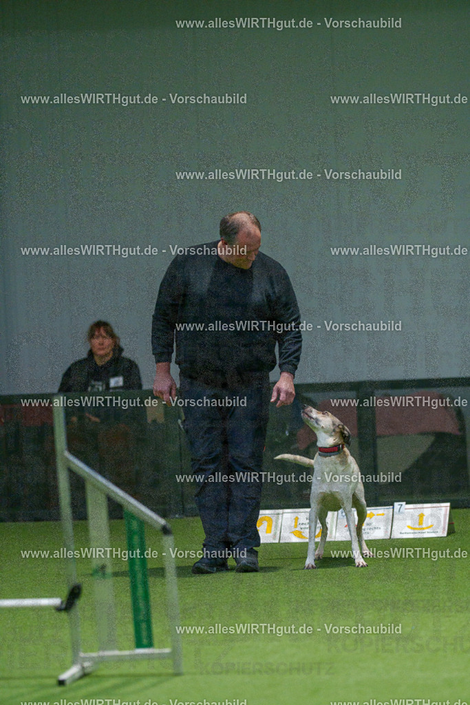 7R505301 | Professionelle Tierfotografie in Mönchengladbach von Daniel Wirth (allesWIRTHgut). Liebevolle & natürliche Bilder von Hunden & Katzen für unvergessliche Erinnerungen.