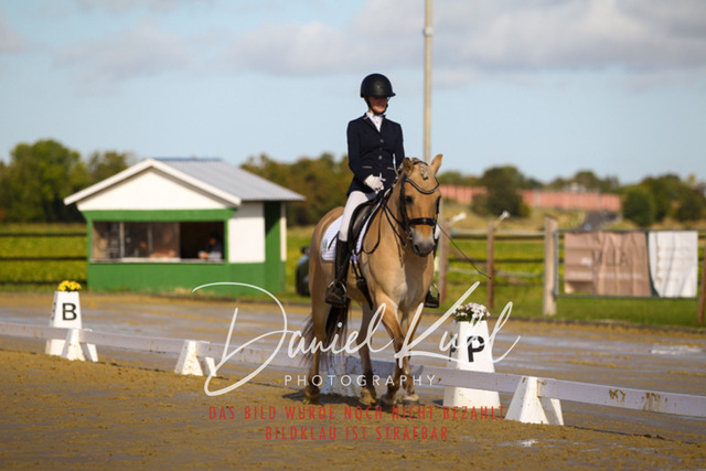 DKP45013 | Turniersportfotografie; Pferdefotografie; Dressurfotografie