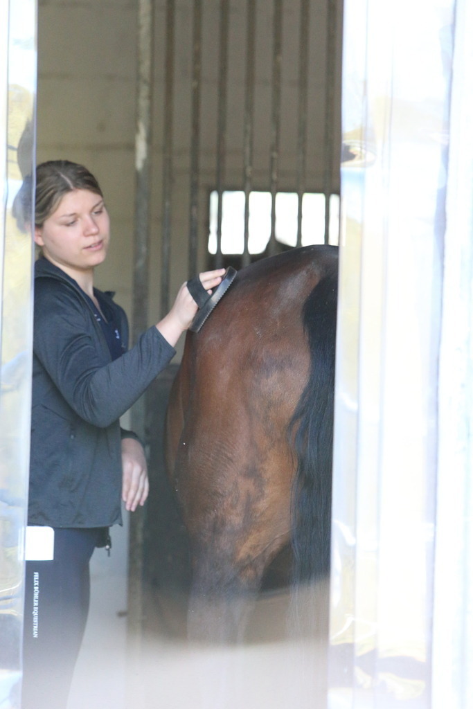 DL2Q3100 | Willkommen bei Brunnmayr - Design & Fotografie – Ihrem Spezialisten für Reitturniere und Pferdeveranstaltungen in Oberösterreich, Salzburg und Bayern! Seit über 17 Jahren sind wir leidenschaftlich dabei.