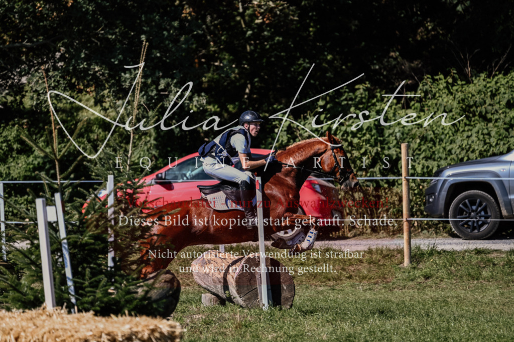 DSC_1348 | Pferde- und Turnierfotografie in Westsachsen. Pferdeportraits, Auftragszeichnungen und intuitive Kunst.