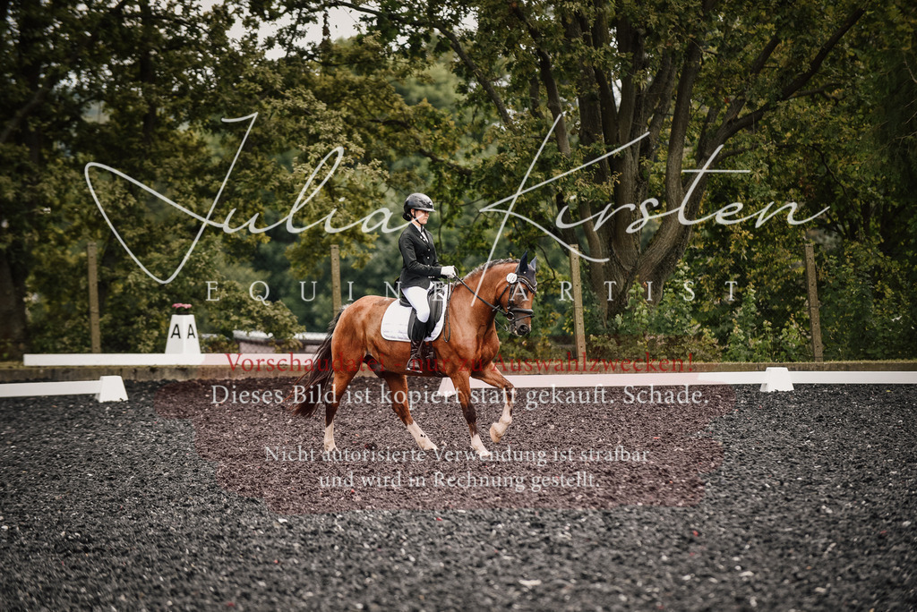 DSC_4504 | Pferde- und Turnierfotografie in Westsachsen. Pferdeportraits, Auftragszeichnungen und intuitive Kunst.