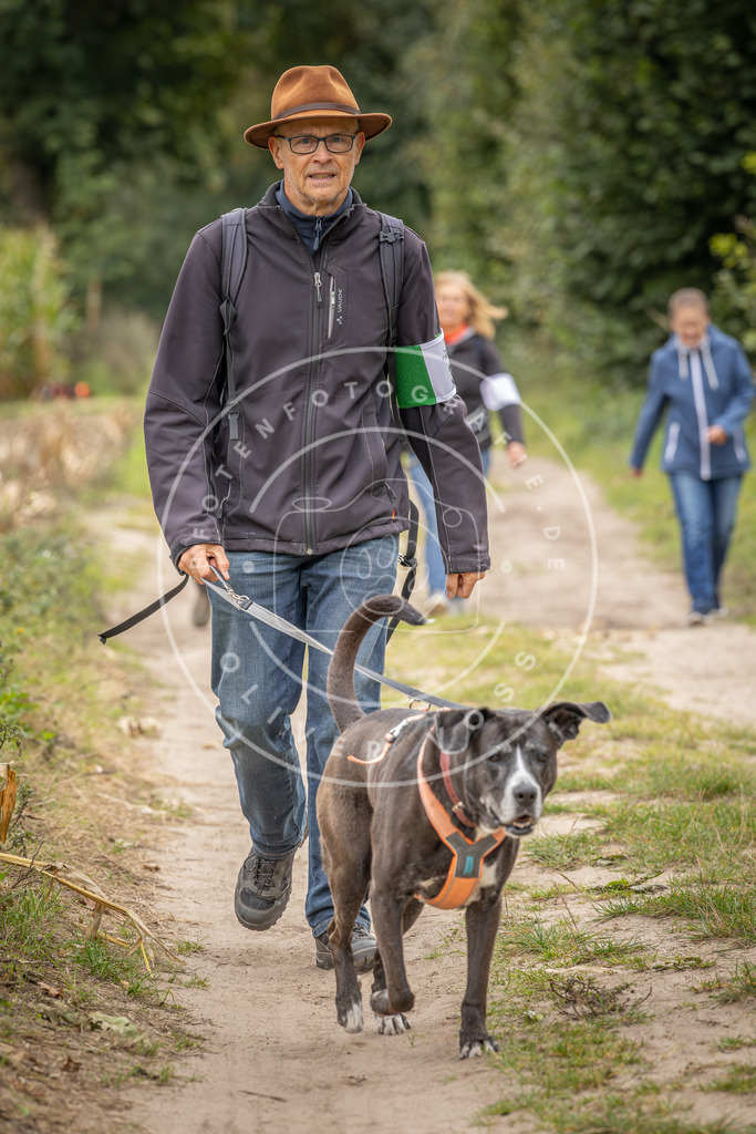 Pfotenfotografie_DV3A6295 | Hundefotografie, Tierfotograf, Pfotenfotografie, Fotoshooting Hund, Hunde Portrait, Hundesport, Hundeportraits, Heideshooting, Hunde, Sportfotograf, Hundefotograf, Turnierhundsport, THS,  - Realisiert mit Pictrs.com