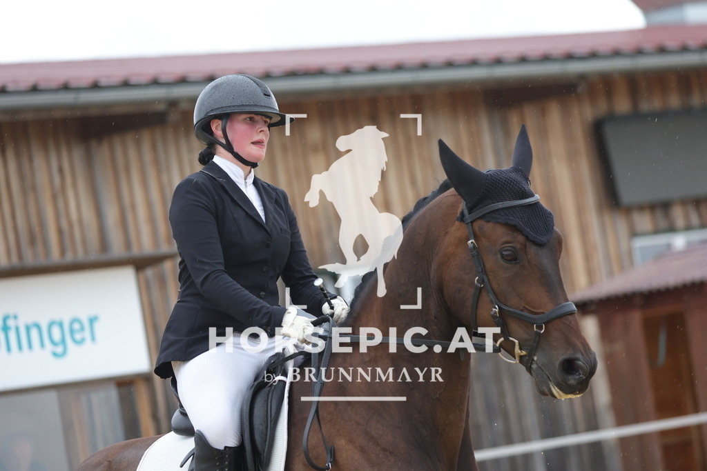 0P6A1072 | Willkommen bei Brunnmayr - Design & Fotografie – Ihrem Spezialisten für Reitturniere und Pferdeveranstaltungen in Oberösterreich, Salzburg und Bayern! Seit über 17 Jahren sind wir leidenschaftlich dabei.