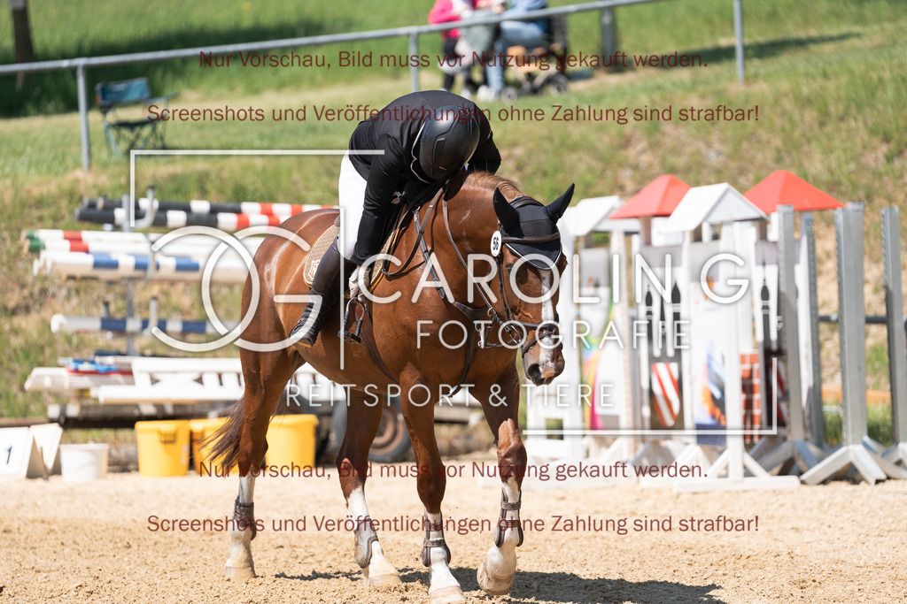 DSC04470 | Springturnier_Ehingen_Mai_2026, Sabrina_Börner, Caru_2