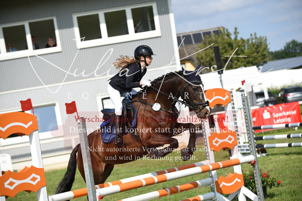 DSC_8939 | Pferde- und Turnierfotografie in Westsachsen. Pferdeportraits, Auftragszeichnungen und intuitive Kunst.