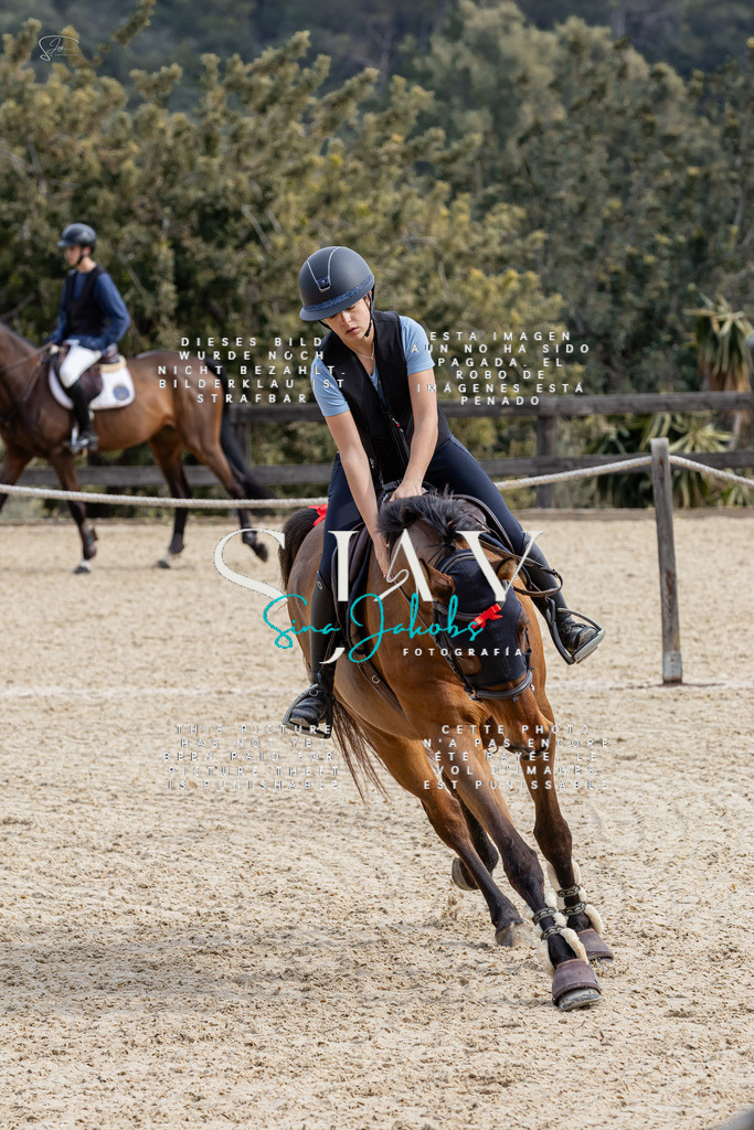 IMG_3549 | s-jay-photography - Realisiert mit Pictrs.com