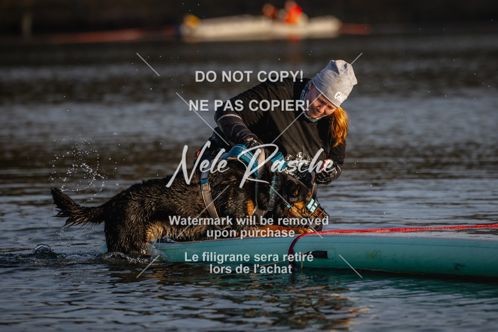 nelerasche_Hulsbeek_Sa1700-1730_168 | nelerasche