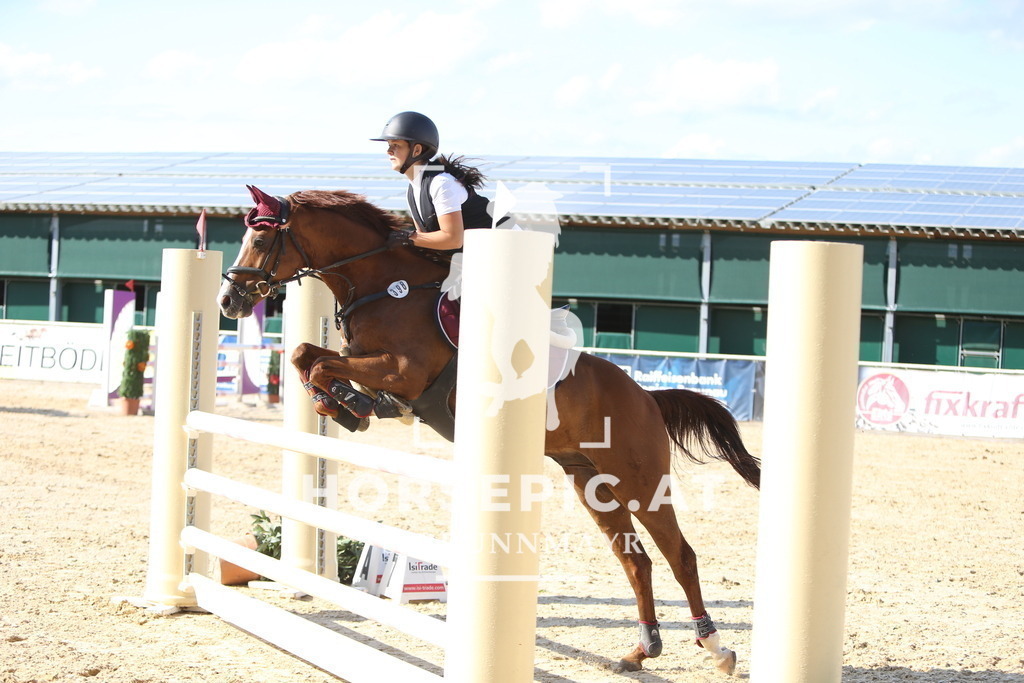 DL2Q1949 | Willkommen bei Brunnmayr - Design & Fotografie – Ihrem Spezialisten für Reitturniere und Pferdeveranstaltungen in Oberösterreich, Salzburg und Bayern! Seit über 17 Jahren sind wir leidenschaftlich dabei.