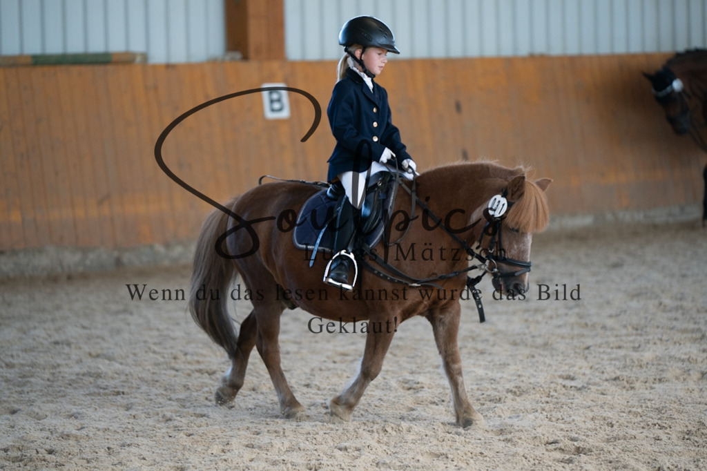 A7V02140 | Turnier/Reitfotograf