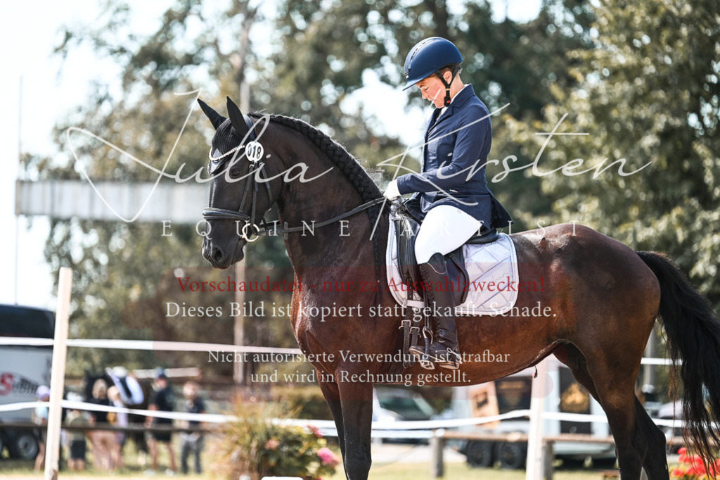DSC_5416 | Pferde- und Turnierfotografie in Westsachsen. Pferdeportraits, Auftragszeichnungen und intuitive Kunst.