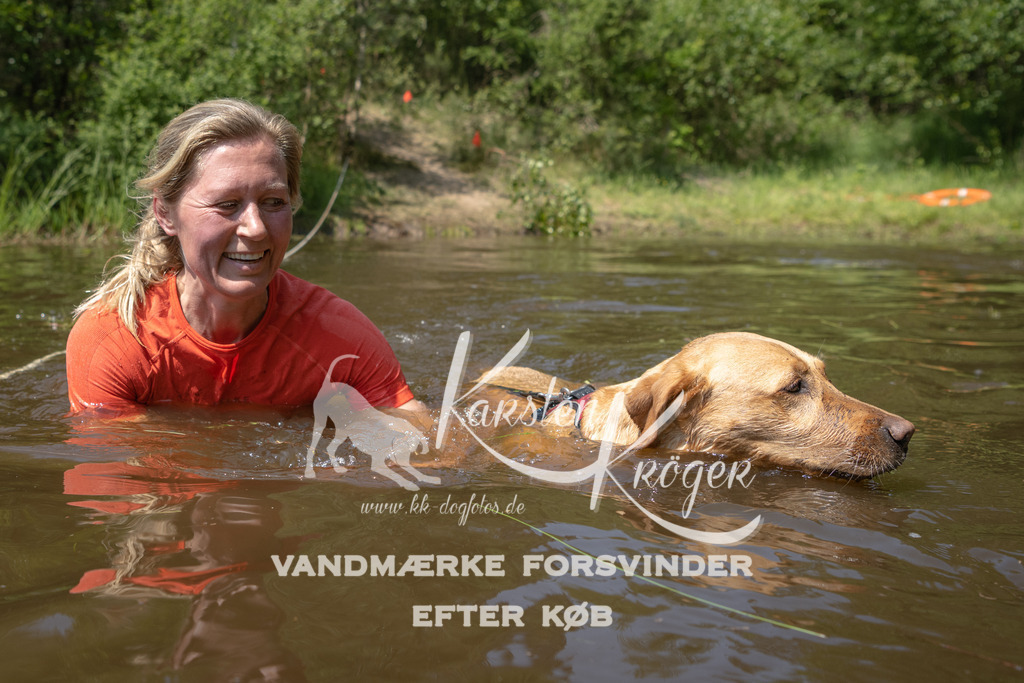 1323DKK994026 | kk-dogfotos