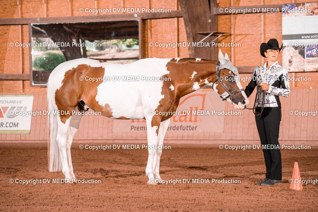 NE200083 | dv-media-shop - Realisiert mit Pictrs.com