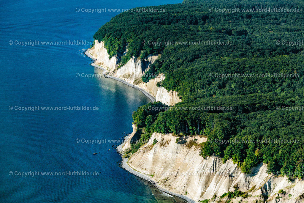 Lohme_Königsstuhl_Kreidefelsen_Rügen_ELS_4480100822 | STUBBENKAMMER 10.08.2022 Bewaldete Kreidefelsen - und Steilküsten- Landschaft im Nationalpark Jasmund an der Steilküste an der Ostsee in Stubbenkammer auf der Insel Rügen im Bundesland Mecklenburg-Vorpommern, Deutschland. // Wooded chalk cliffs and cliff landscape in the Jasmund National Park on the cliffs on the Baltic Sea in Stubbenkammer on the island of Ruegen in the state Mecklenburg-West Pomerania, Germany. Foto: Martin Elsen