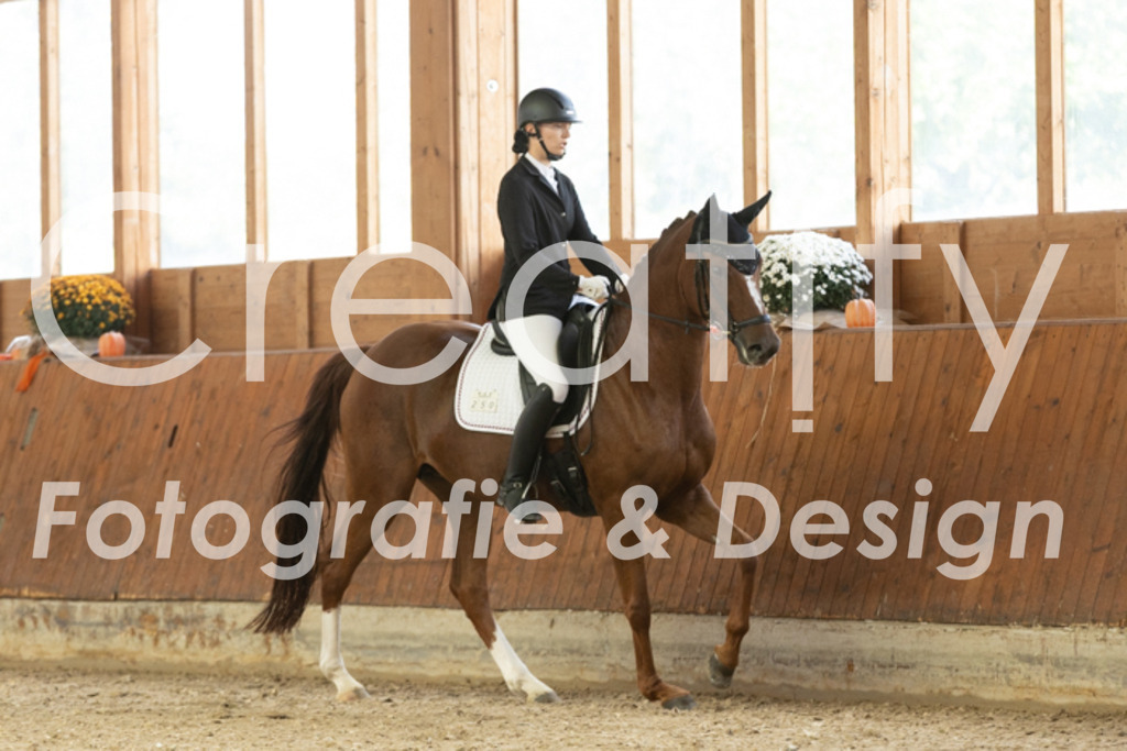 IMG_1264 | Creatify Fotografie