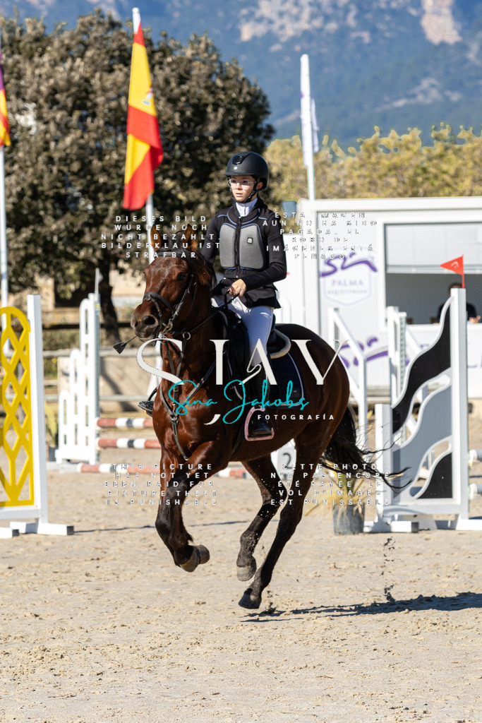 IMG_8469 | s-jay-photography - Realisiert mit Pictrs.com