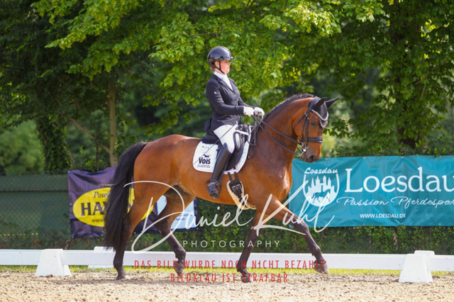 DKP40992 | Turniersportfotografie; Pferdefotografie; Dressurfotografie