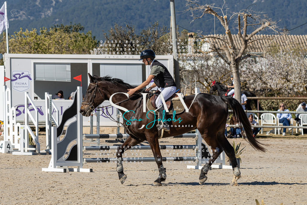 IMG_8994 | s-jay-photography - Realisiert mit Pictrs.com