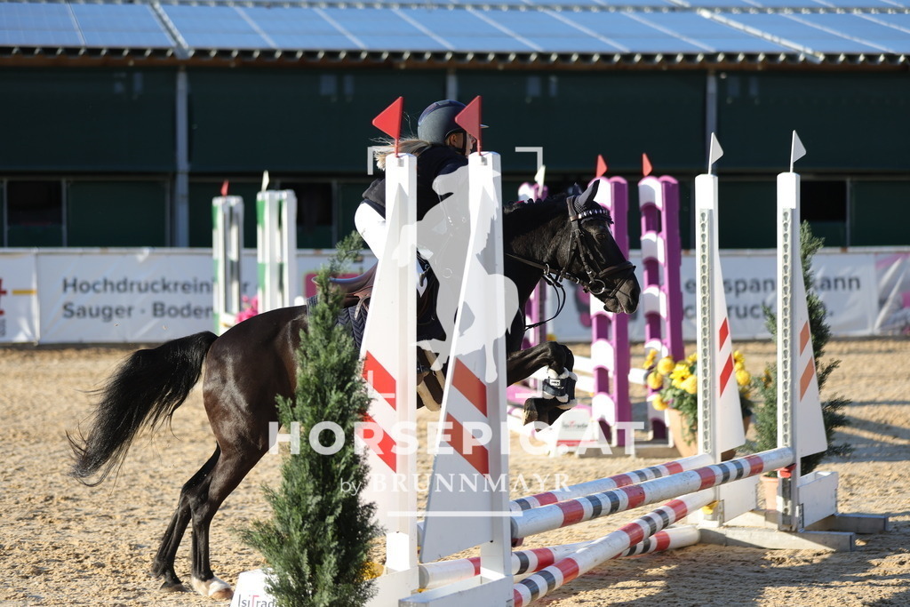 0P6A6658 | Willkommen bei Brunnmayr - Design & Fotografie – Ihrem Spezialisten für Reitturniere und Pferdeveranstaltungen in Oberösterreich, Salzburg und Bayern! Seit über 17 Jahren sind wir leidenschaftlich dabei.