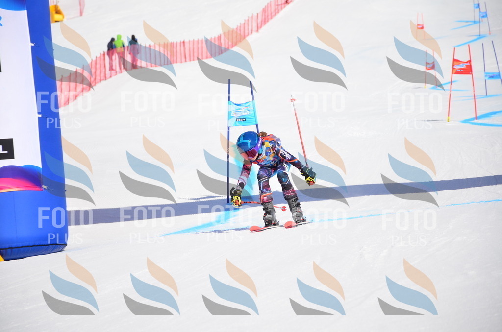 VR4_9782 | holidayphoto