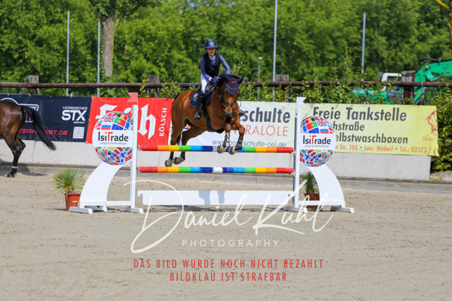 Gut Blee25_Amateuer Stilsprpfg Kl L_0303 | Turniersportfotografie; Pferdefotografie; Dressurfotografie