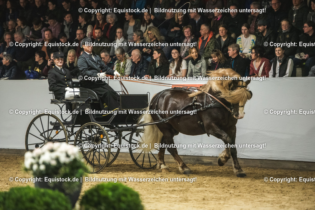 20240302_Hengstvorstellung_Marbach_TOMsPiC_0586 | equistock