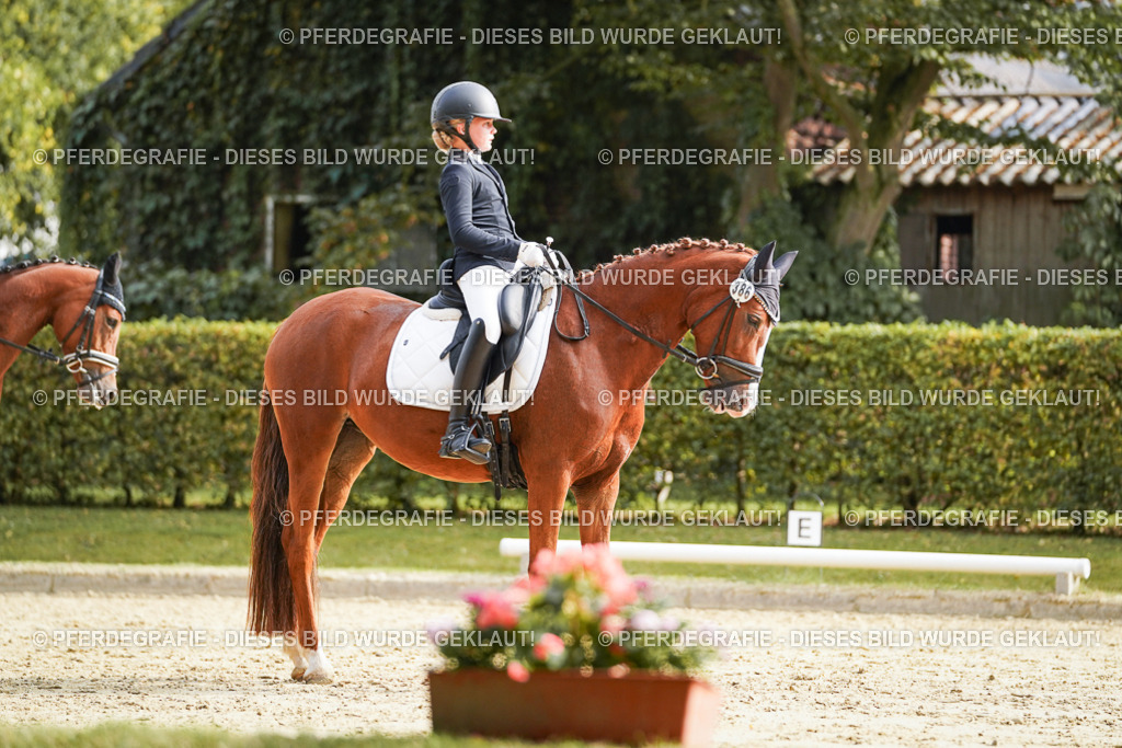 DSC05245 | Pferdegrafie