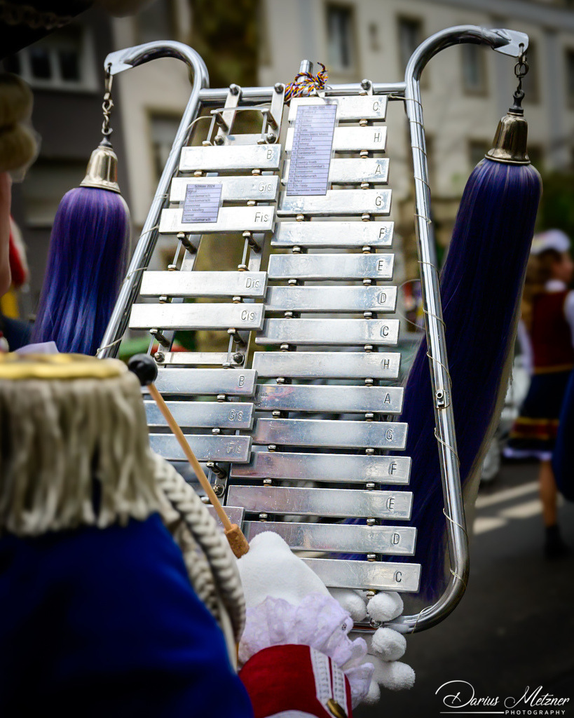 Die Mainzer Fastnacht | Die Mainzer Fastnacht