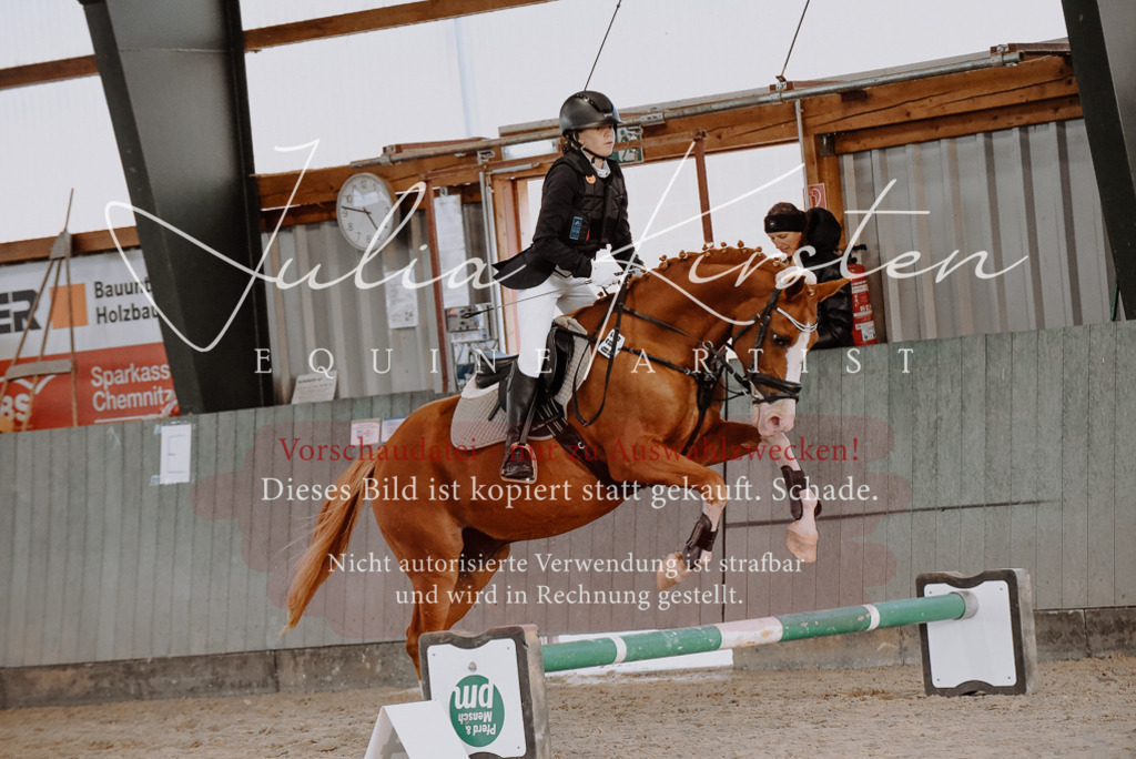 DSC_7461 | Pferde- und Turnierfotografie in Westsachsen. Pferdeportraits, Auftragszeichnungen und intuitive Kunst.