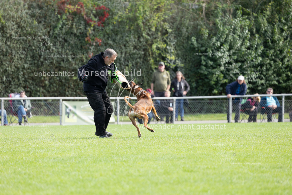 _16A5409 | Einzigartige Fotos von Hunden & Menschen –Actionfotos, Portraits, Vereinsaufnahmen & Paarshootings – authentisch, lebendig & mit Herz.