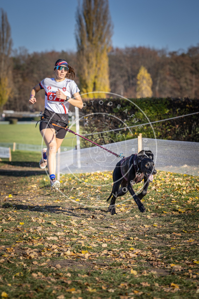 CaniXpix_DV3A1058 | Hundefotografie, Tierfotograf, Pfotenfotografie, Fotoshooting Hund, Hunde Portrait, Hundesport, Hundeportraits, Heideshooting, Hunde, Sportfotograf, Hundefotograf, Turnierhundsport, THS,  - Realisiert mit Pictrs.com