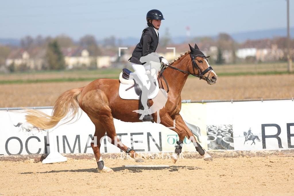 0P6A0840 | Willkommen bei Brunnmayr - Design & Fotografie – Ihrem Spezialisten für Reitturniere und Pferdeveranstaltungen in Oberösterreich, Salzburg und Bayern! Seit über 17 Jahren sind wir leidenschaftlich dabei.