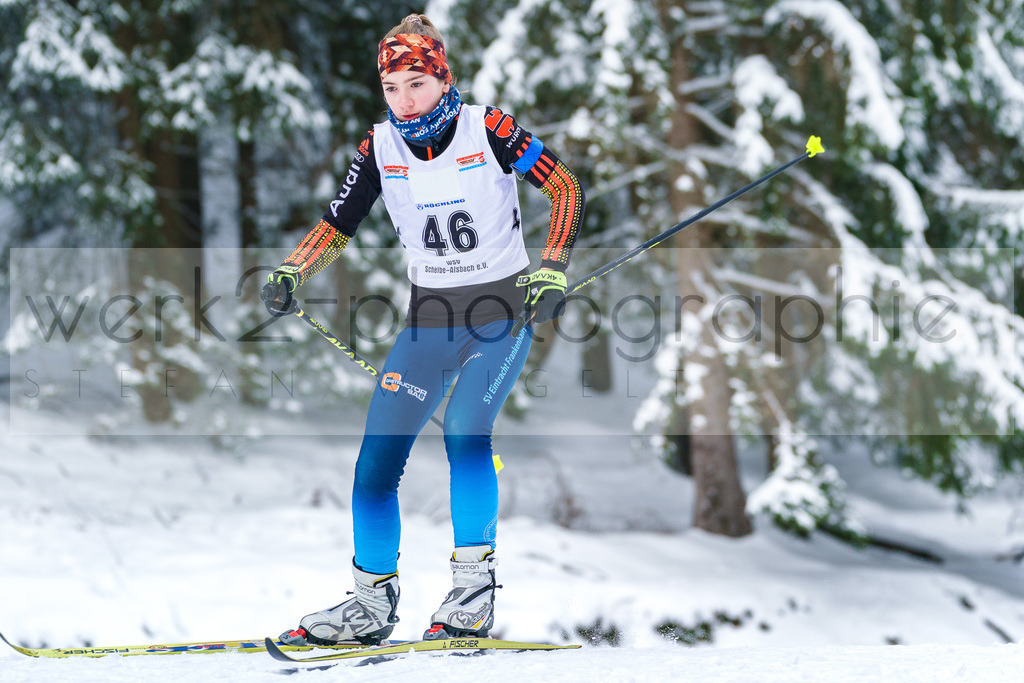 Thüringer Meisterschaften Biathlon - Scheibe-Alsbach | Scheibe-Alsbach am 28. + 29. Januar 2023