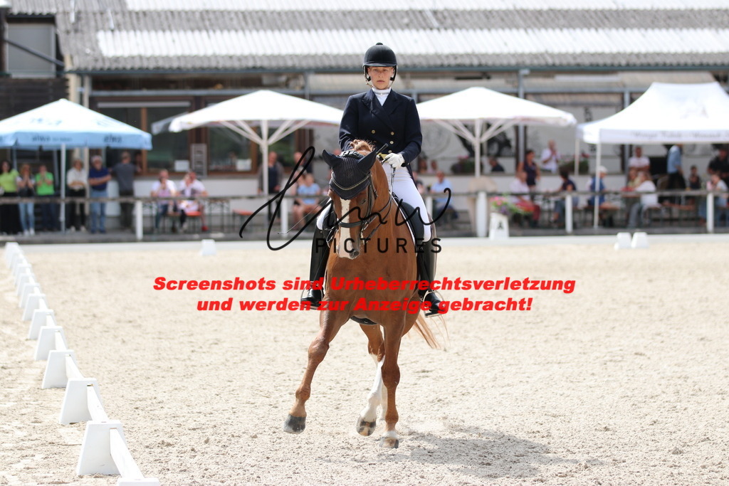 IMG_1574 | lmwpictures - Realisiert mit Pictrs.com