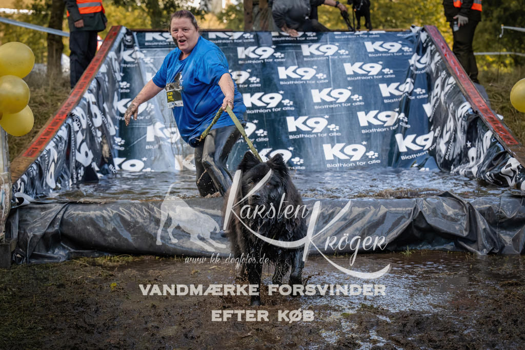 1552_ZZ90989 | kk-dogfotos
