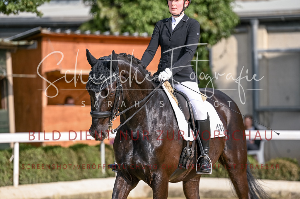 Schugtsche-Aluta25-52.Dressurprf.M2Kand-100 | Schugtsche Fotografie - Realisiert mit Pictrs.com