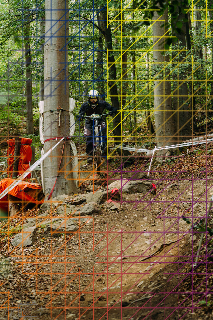 PAE-2156 | Einzigartige Fotokunst für dein Zuhause: Entdecke hochwertige Wandbilder, edle Prints und emotionale Motive von Wildlife, Natur und Landschaften - Realisiert mit Pictrs.com