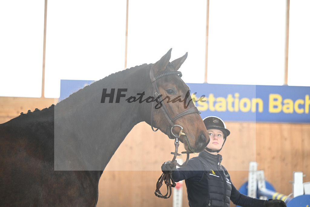 Kat-Nr. 20 Lucia M v. Conthargos_Meindl_14260768 | hf-fotografie - Realisiert mit Pictrs.com