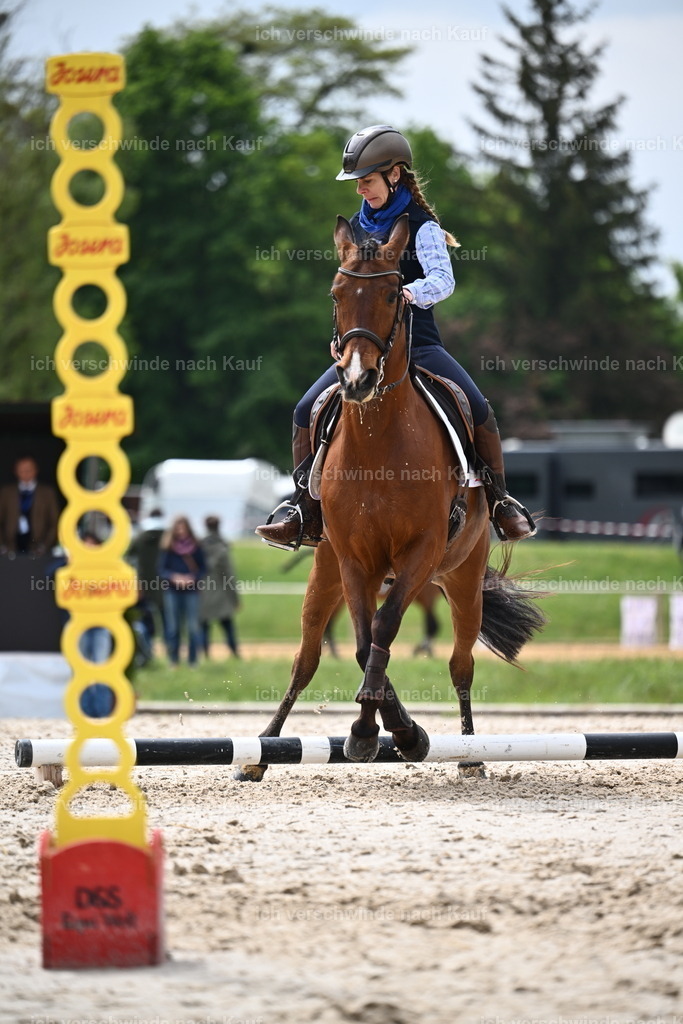 PI26_SP_Sara_Landvogt_226_5053.JPG | working equitationturnier fotograf videograf stoibphotography marixx film working equitation deutschland reitsport turnierfotografie eventfotografie equestrian events