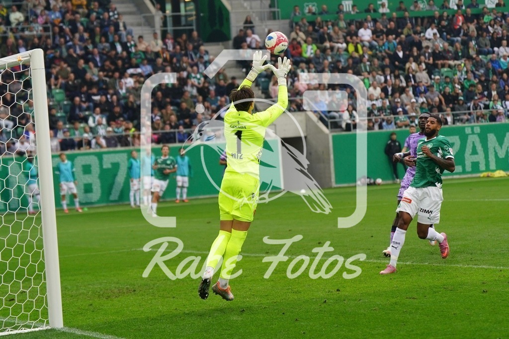 SON08785 | rabefotos