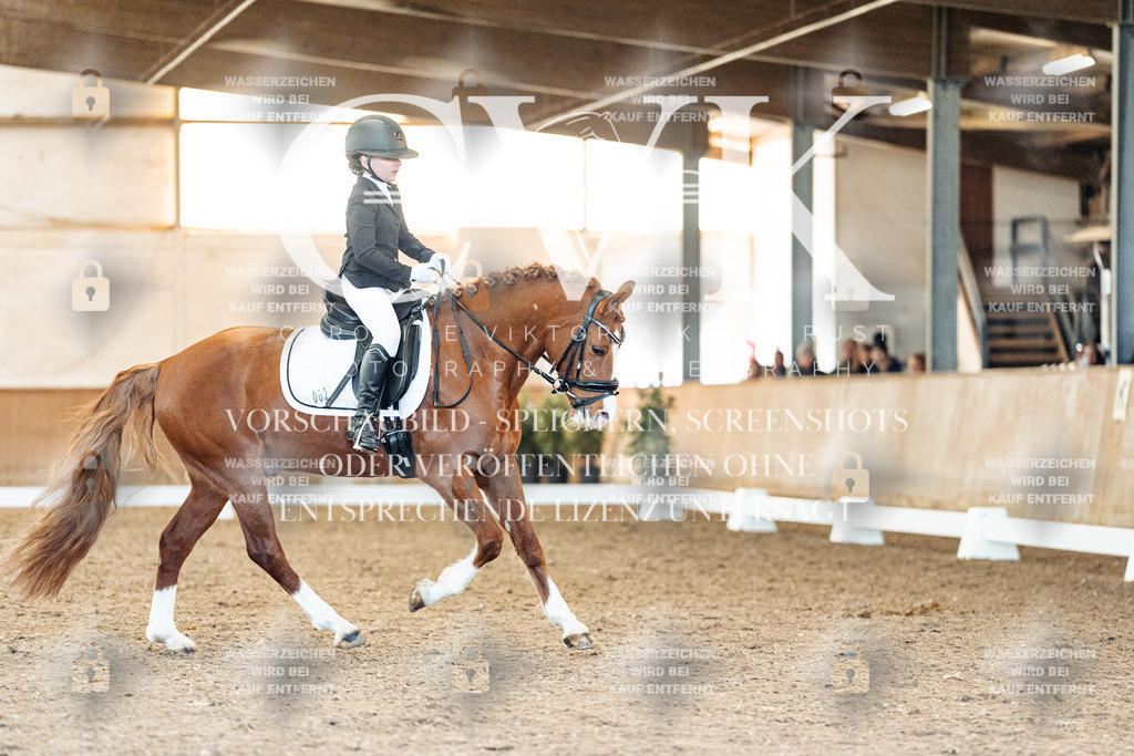 CK908217 | Turnierfotografie Pferdefotografie Trier Rheinland-Pfalz Pferdesport Reitsport Tierfotografie Sportfotografie Pferdevideo Pferdevideografie Equestrianvideography equestrianphotography  - Realized with Pictrs.com
