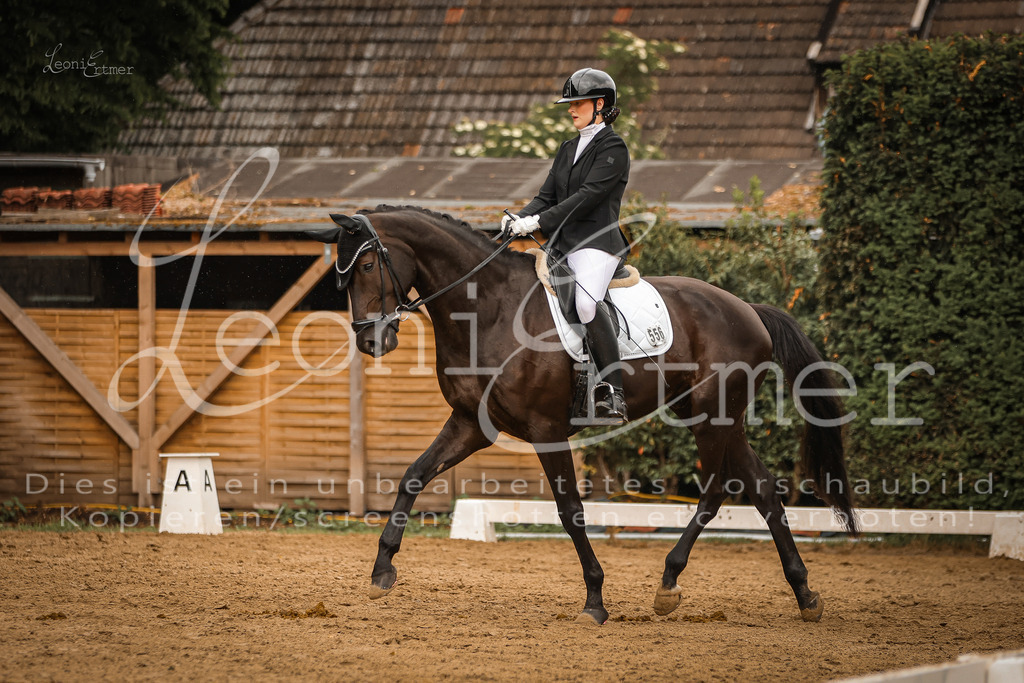 DoDrA00258 | Leoni Ertmer Photography - Realisiert mit Pictrs.com