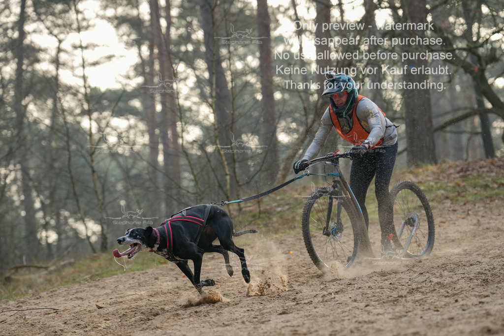 Scooter1-103 | stephaniefillaphotographie - Realisiert mit Pictrs.com