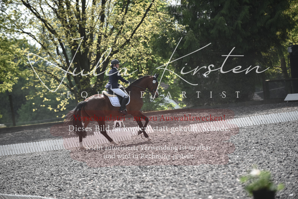 20230513_JK-Röhrsdorf-14-668 | Pferde- und Turnierfotografie in Westsachsen. Pferdeportraits, Auftragszeichnungen und intuitive Kunst.