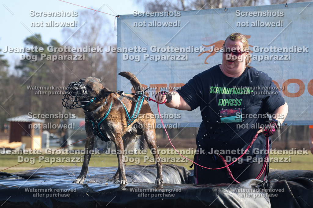 Dog Paparazzi - Strongdog North Mrz26-1239 | Dog Paparazzi Jeanette Grottendiek Fotografie & Videografie - Realisiert mit Pictrs.com