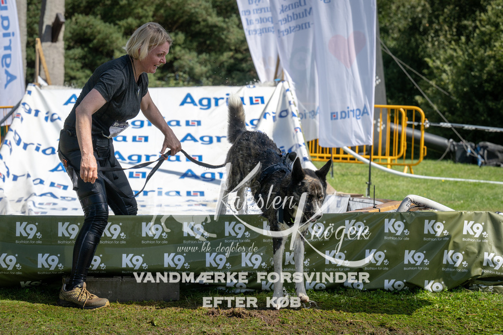 1150_ZZ94281 | kk-dogfotos