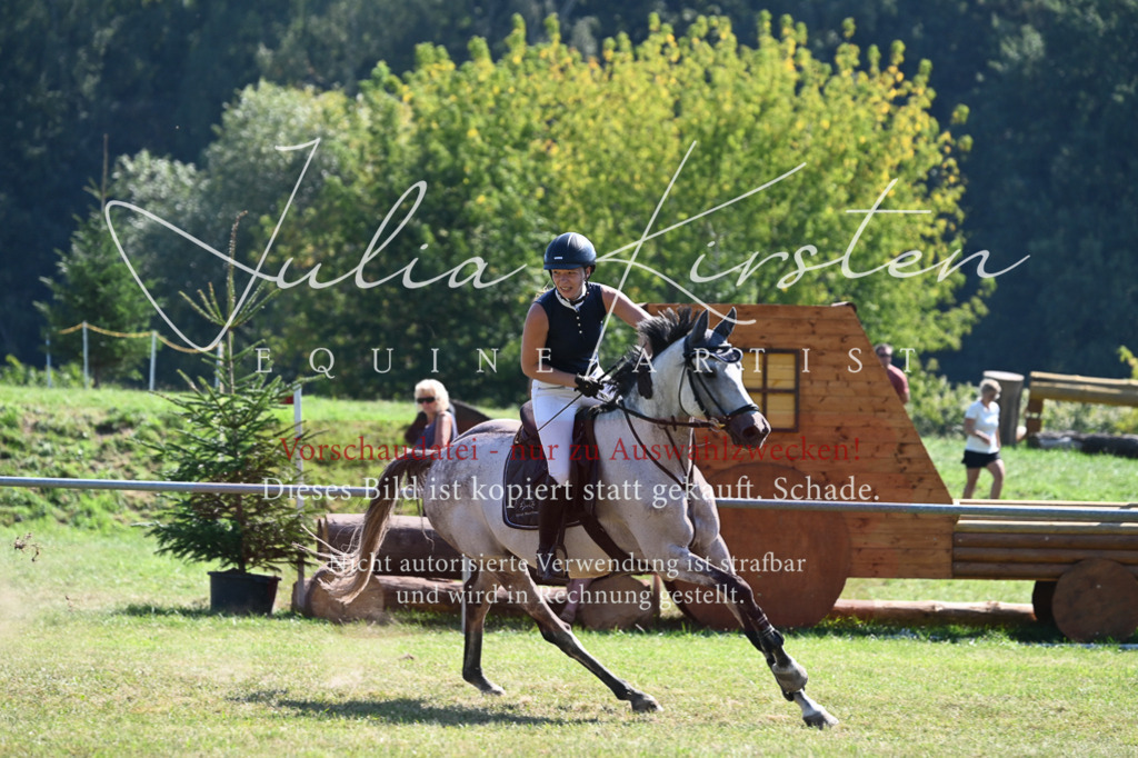 DSC_6370 | Pferde- und Turnierfotografie in Westsachsen. Pferdeportraits, Auftragszeichnungen und intuitive Kunst.