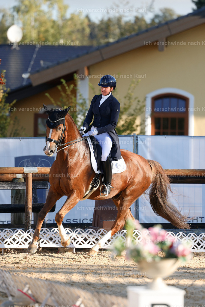 09_1-195-DRESSUR  S_  -StoibPH-5507 | working equitationturnier fotograf videograf stoibphotography marixx film working equitation deutschland reitsport turnierfotografie eventfotografie equestrian events