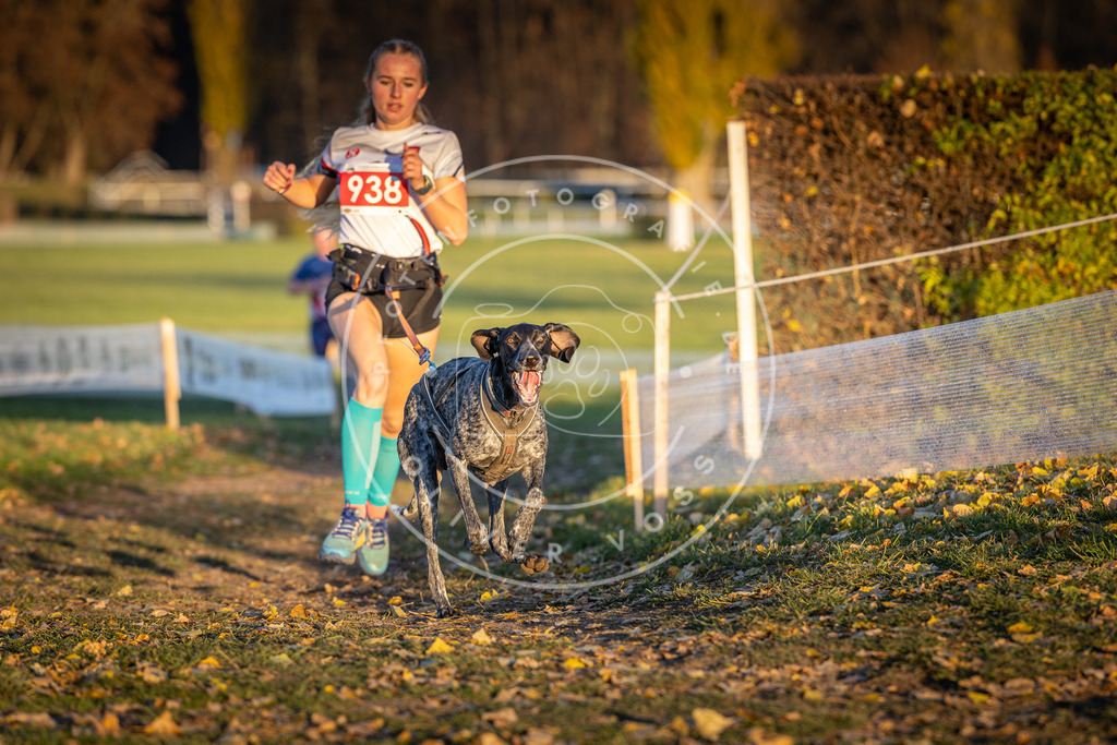 CaniXpix_DV3A5265 | Hundefotografie, Tierfotograf, Pfotenfotografie, Fotoshooting Hund, Hunde Portrait, Hundesport, Hundeportraits, Heideshooting, Hunde, Sportfotograf, Hundefotograf, Turnierhundsport, THS,  - Realisiert mit Pictrs.com