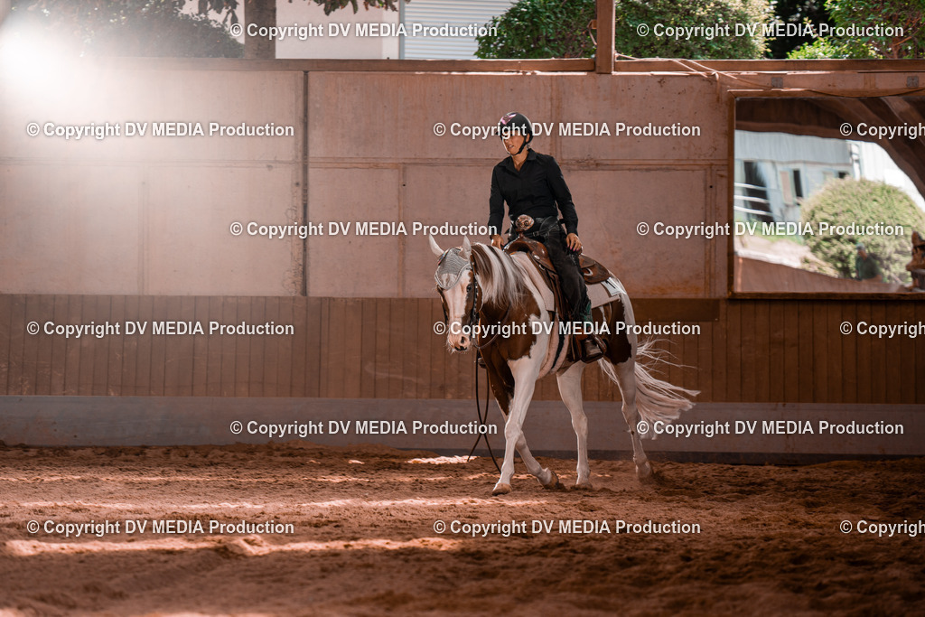 NE100817 | dv-media-shop - Realisiert mit Pictrs.com